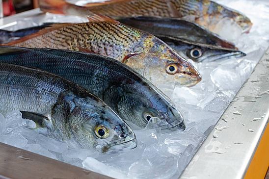 В России заявили о возможном подорожании рыбы